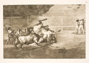 Caballo derribado por un toro