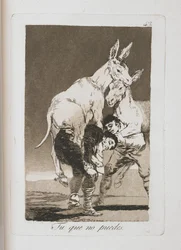 Placa de Los Caprichos, 1797-1798