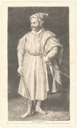 El bufón Barbarroja