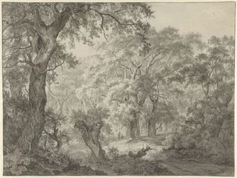 Paisaje forestal