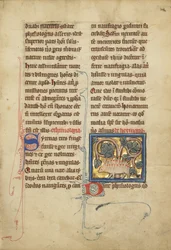 Un erizo de un bestiario Ms Ludwig XV 4, fol. 82, c.1280-1300