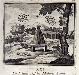 Avispones y moscas de miel. Fábulas de Jean de La Fontaine. Ilustración de François Chauveau. Edición de 1728.
