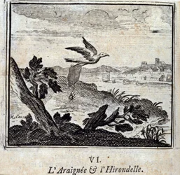 La araña y la golondrina. Fábulas de Jean de La Fontaine (1621-95). Ilustración de François Chauveau (1613-1676). Edición de 1728.