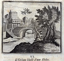 El pájaro herido por una flecha. Fábulas de Jean de La Fontaine. Ilustración de François Chauveau. Edición de 1728.
