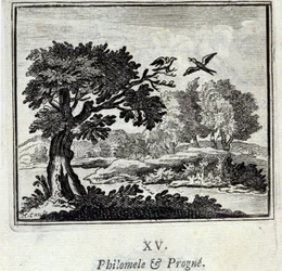 Filomela y Progne. Fábulas de Jean de La Fontaine (1621-95). Ilustración por François Chauveau (1613-1676). Edición de 1728.