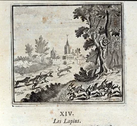 Los conejos. Fábulas de Jean de La Fontaine (1621-95). Ilustración de François Chauveau (1613-1676). Edición de 1728.