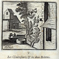 El murciélago y las dos comadrejas. Fábulas de Jean de La Fontaine. Ilustración de François Chauveau. Edición de 1728.
