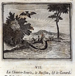 El murciélago, el arbusto y el pato. Fábulas de Jean de La Fontaine. Ilustración de François Chauveau. Edición de 1728.