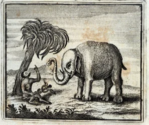El elefante y el mono de Júpiter. Fábulas de Jean de La Fontaine (1621-95). Ilustración de François Chauveau (1613-1676). Edición de 1728