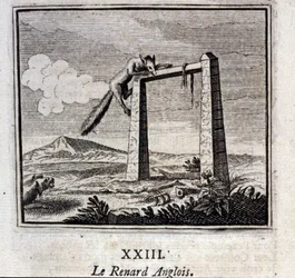 El zorro inglés. Fábulas de Jean de La Fontaine (1621-95). Ilustración por François Chauveau (1613-1676). Edición de 1728.