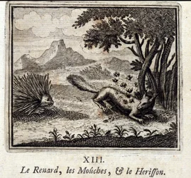 El zorro, las moscas y el erizo. Fábulas de Jean de La Fontaine (1621-95). Ilustración de François Chauveau (1613-1676). Edición de 1728