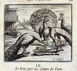El arrendajo se adorna con plumas de pavo real. Fábulas de Jean de La Fontaine (1621-95). Ilustración de François Chauveau (1613-1676). Edición de 1728.