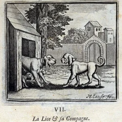 El piojo y su compañera. Fábulas de Jean de La Fontaine. Ilustración de François Chauveau. Edición de 1728.