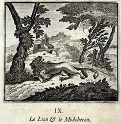 El león y el cazamoscas. Fábulas de Jean de La Fontaine. Ilustración de François Chauveau. Edición de 1728.