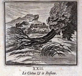 El roble y el junco. Fábulas de Jean de La Fontaine. Ilustración de François Chauveau. Edición de 1728.