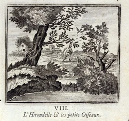 La golondrina y los pajaritos. Fábulas de Jean de La Fontaine (1621-95). Ilustración de François Chauveau (1613-1676). Edición de 1728
