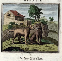 El Lobo y el Perro. Fábulas de Jean de La Fontaine (1621-1695). Ilustración de François Chauveau (1613-1676). Edición de 1728.