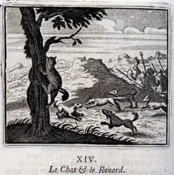 El gato y el zorro. Fábulas de Jean de La Fontaine. Ilustración de François Chauveau. Edición de 1728.