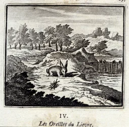 Las orejas de la liebre. Fábulas de Jean de La Fontaine. Ilustración de François Chauveau. Edición de 1728.