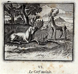El ciervo enfermo. Fábulas de Jean de La Fontaine (1621-95). Ilustración de François Chauveau (1613-1676). Edición de 1728.