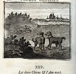 Los dos perros y el burro muerto. Fábulas de Jean de La Fontaine (1621-95). Ilustración por François Chauveau (1613-1676). Edición de 1728.