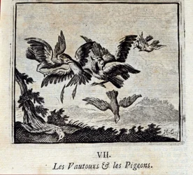 Buitres y palomas. Fábulas de Jean de La Fontaine (1621-95). Ilustración de François Chauveau (1613-1676). Edición de 1728