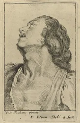 Busto de un joven