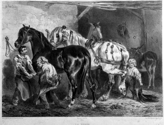 La fragua, herrajes para caballos