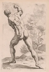 El Gladiador Borghese, vista trasera (lámina 29)