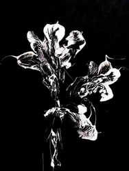 Flores oscuras y fluidas