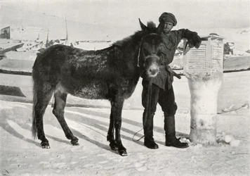 Gran con mula Lal Khan, c1911