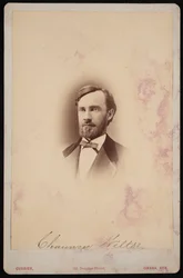 Retrato de Chauncey Wiltse