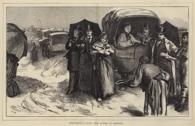 Turismo, un Estudio de la Naturaleza en Mortlake