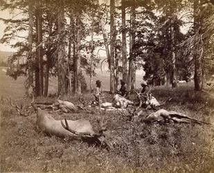 Cazadores de Alces, Yellowstone, c.1880