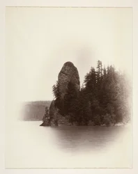 Sin título (roca gallo)