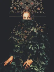 «Patience II», de Frank Moth
