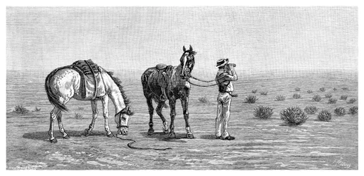Nada a la vista, 1886