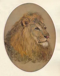 Cabeza de león, c1896