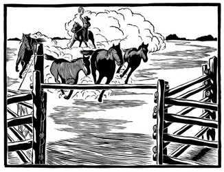 Vaquero