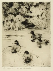 Pequeños pajarillos azules