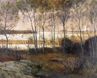 Aguas plateadas