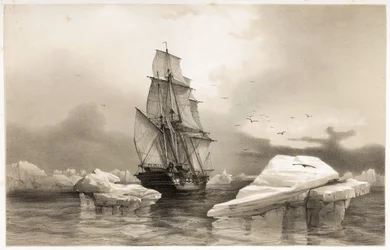 Corbeta "La Recherche" cerca de la Isla del Oso el 7 de agosto