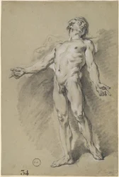 Apolo