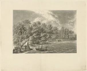 paisaje tropical