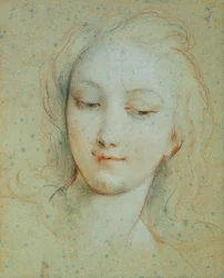 La cabeza de Venus