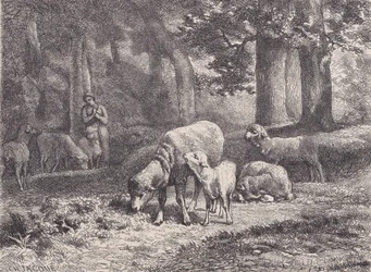 Las Ovejas, del Magasin Pittoresque, 1862