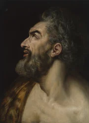 Estudio de la cabeza de un hombre con barba, c.1565