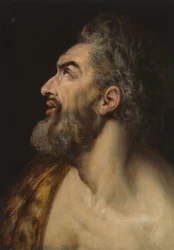 Estudio Cabeza de hombre barbudo