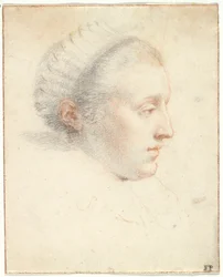 Retrato de perfil de una dama