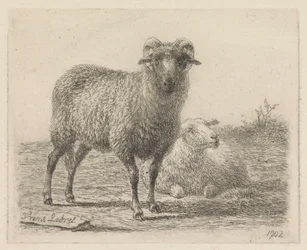 Carnero y oveja